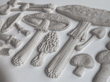 Load image into Gallery viewer, Toadstool Mould by IOD - Iron Orchid Designs 