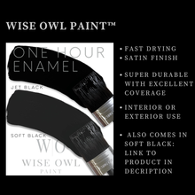 Load image into Gallery viewer, Jet Black - Wise Owl One Hour Enamel Paint