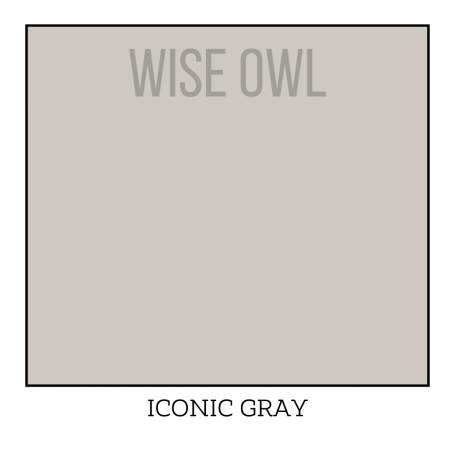 Iconic Gray Wise Owl One Hour Enamel Paint | Cabinet retail Paint | Furniture Paint