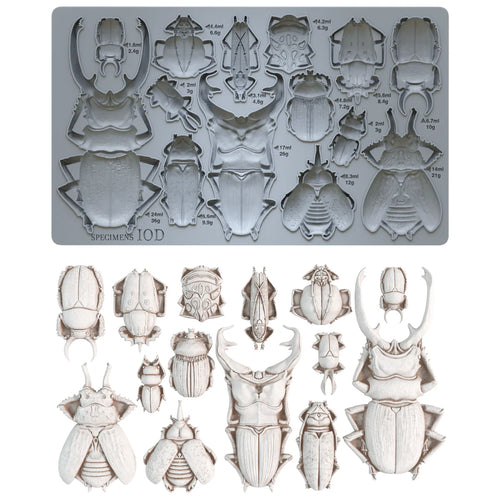 Specimens Mould by IOD - Iron Orchid Designs