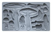 Load image into Gallery viewer, Toadstool Mould by IOD - Iron Orchid Designs 