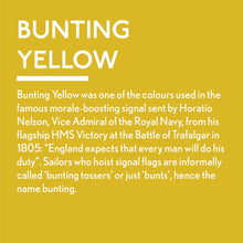 Load image into Gallery viewer, Bunting Yellow - Jubilee Paint