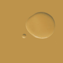 Load image into Gallery viewer, Carnaby Yellow - Annie Sloan Satin Paint