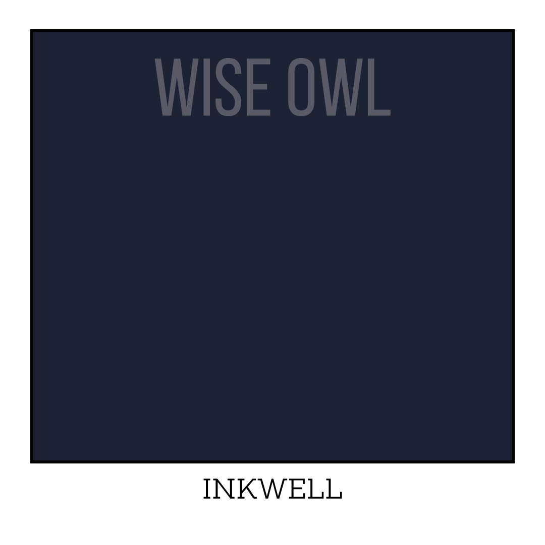 Wise shop owl paint