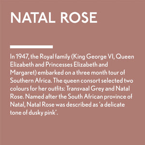 Natal Rose - Jubilee Paint